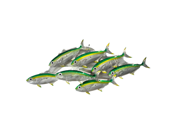 7 Kingfish airbrushed ghost tint green