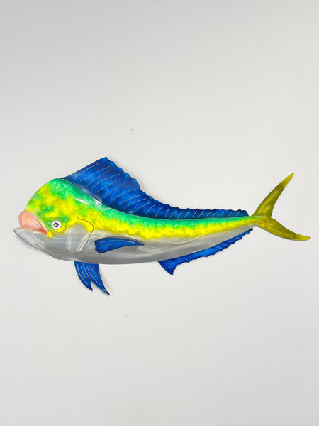 Mahi Mahi Medium