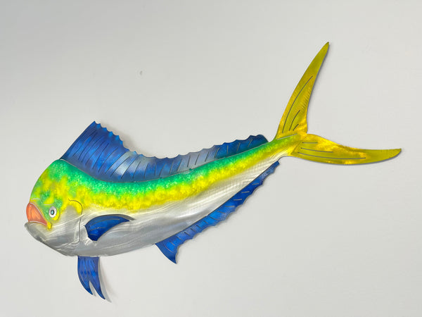 Mahi Mahi Medium