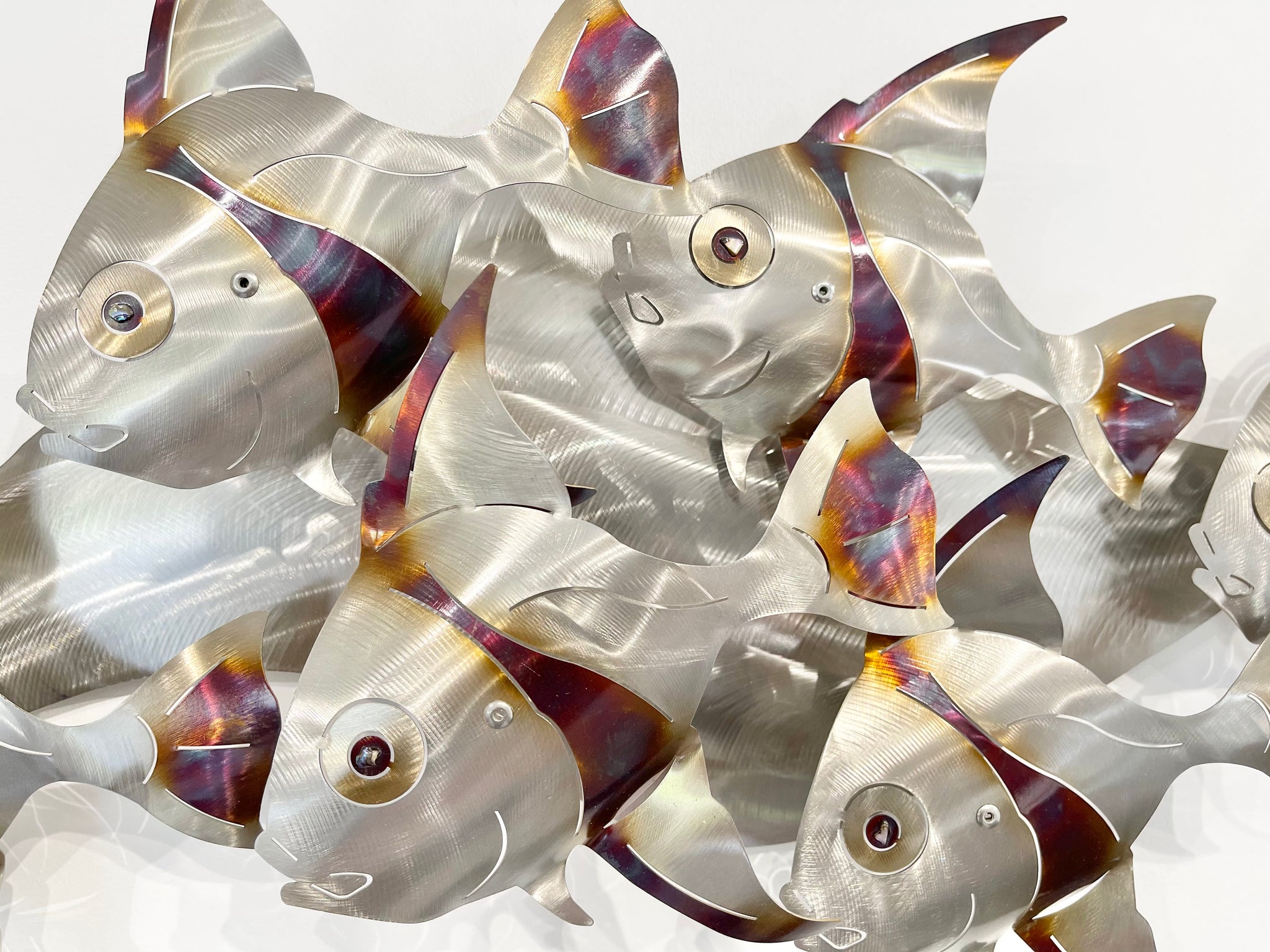 6 Angel fish